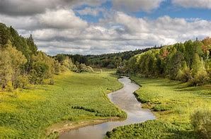 Image result for small river