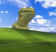 Image result for Frog Meme Animal