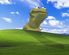 Image result for Funny Frog Memes for Background