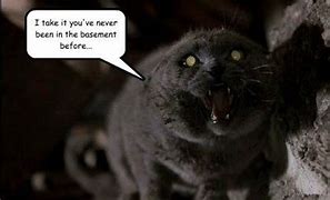 Image result for Pet Sematary Fred Dead Cat Meme