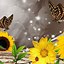 Image result for Sunflower Wallpaper for iPhone 15