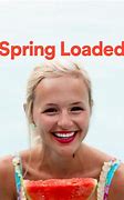 Image result for Spring Loaded Cover