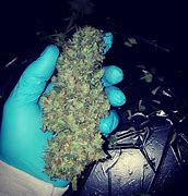 Image result for Fire OG Marijuana Strain