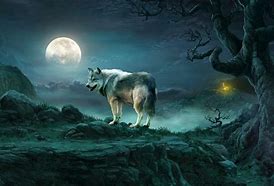 Image result for Night Wolf Art