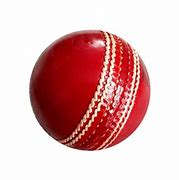 Image result for Soft Ball Cricket Bat