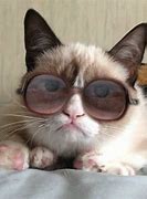 Image result for Grumpy Cat Glasses