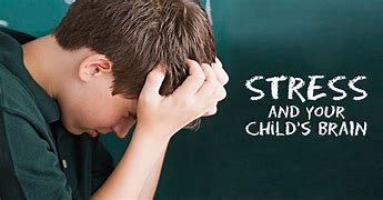 Image result for Stressed Brain for Kids