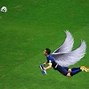 Image result for England World Cup Memes