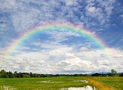 Image result for Rainbow Sky
