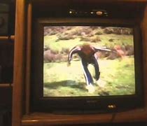 Image result for Sony CRT TV Black and Grey