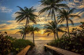 Image result for Beautiful Nature Summer Beach