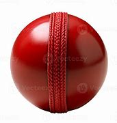 Image result for Cricket Icon 4