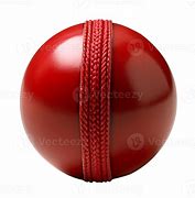 Image result for Cricket Animal Opng