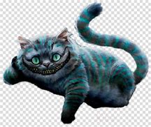 Image result for Alice Cat