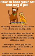 Image result for Cat Poop Jokes