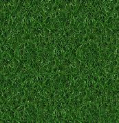 Image result for Grass Detail Texture