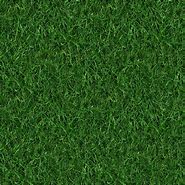 Image result for Grass Seamless Ground Texture