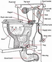 Image result for Toilet Bowl Flush Handle