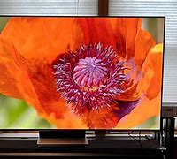 Image result for Pictures of Myx TV On Roku