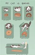 Image result for Cat Bread Loaf Cartoon Memes