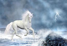 Image result for White Unicorn