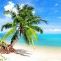 Image result for Tropical Background Wallpaper 27-Inch