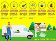 Image result for Pest Control Infographic