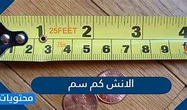 Image result for 8 Centimeters to Inches