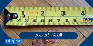 Image result for 10 Cm to Inches Chart