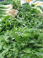 Image result for Herb Definition