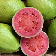 Image result for Guava Seeds