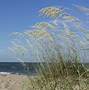 Image result for Secluded Beach Vacations Florida