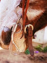 Image result for Tom Thumb Bit in Horses Mouth