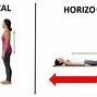 Image result for Horizontal Positioning