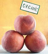 Image result for Local Organic Food