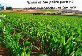 Image result for agropeduario