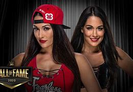 Image result for The Bella Twins ECW