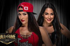 Image result for WWE The Bella Twins Dress