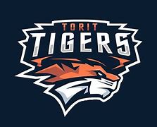 Image result for Best Sports Logos
