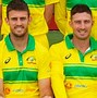 Image result for Cricket