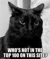 Image result for Grumpy Cat Memes Funny
