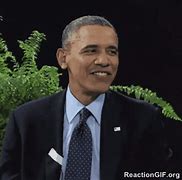 Image result for Barack Obama College