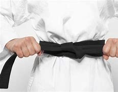 Image result for Black Belt Karate Master Stance