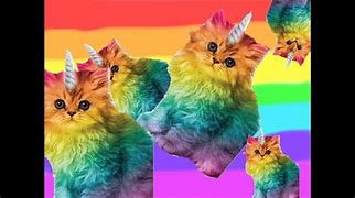 Image result for Meow Meow 6000s