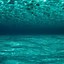 Image result for Underwater HD Gaming Wallpaper