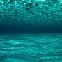 Image result for Underwater Deep Open Ocean
