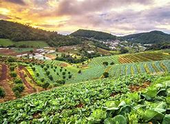 Image result for Sustainable Agriculture Farm