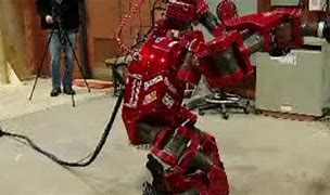 Image result for Human-Sized Robot