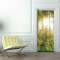 Image result for Door Wall Murals