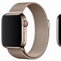 Image result for Ladies Apple Watch